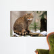 European Wildcat Wall Mural