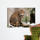 European Wildcat Wall Mural