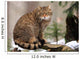European Wildcat Wall Mural