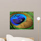 Close-up Peacock Feather Wall Mural