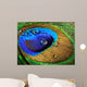 Close-up Peacock Feather Wall Mural