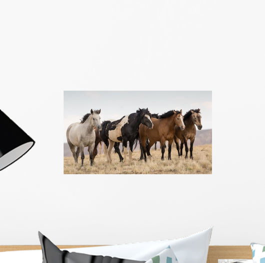 Wild Mustangs Wall Decal