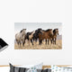 Wild Mustangs Wall Decal