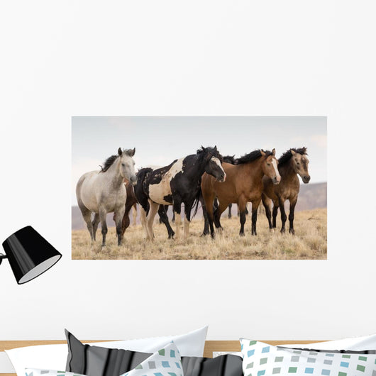 Wild Mustangs Wall Decal
