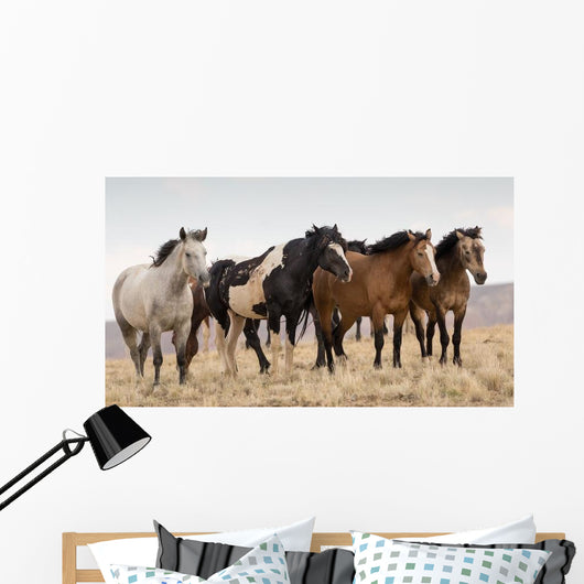 Wild Mustangs Wall Decal