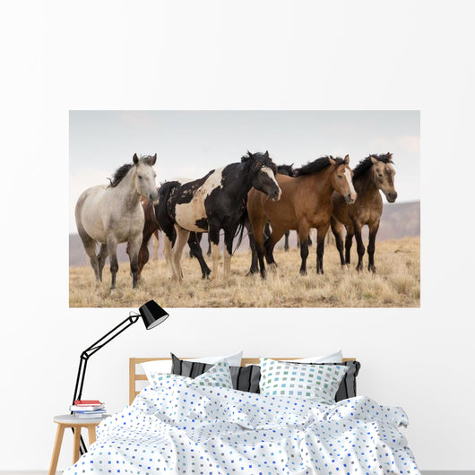Wild Mustangs Wall Decal