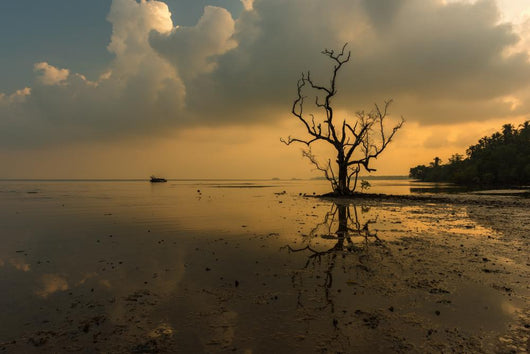 Dead Tree Still Standing Wall Decal
