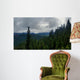 Cascading forests Wall Mural