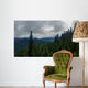 Cascading forests Wall Mural