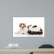 Scottish Fold Cat Lying Wall Decal