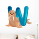 letter W with animal walrus for kids abc education in preschool. Wall Decal
