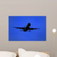 big aircraft preparing to land Wall Mural
