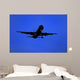 big aircraft preparing to land Wall Mural