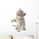 Small gray kitten. Wall Decal