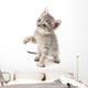 Small gray kitten. Wall Decal
