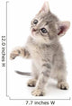 Small gray kitten. Wall Decal