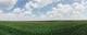green field panorama. ariculture concept Wall Mural