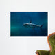 Blacktip Reef Shark Carcharhinus Wall Decal Design 2