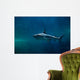 Blacktip Reef Shark Carcharhinus Wall Decal Design 2