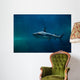 Blacktip Reef Shark Carcharhinus Wall Decal Design 2