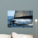 sailboat with a whale splash in background Wall Mural