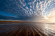 Sunset on the beach Wall Mural
