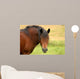 Draft Horse Wall Mural