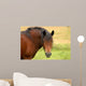 Draft Horse Wall Mural