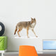 Coyote Wall Decal
