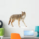 Coyote Wall Decal