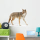 Coyote Wall Decal