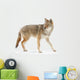 Coyote Wall Decal