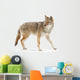 Coyote Wall Decal