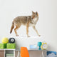 Coyote Wall Decal