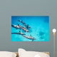 Pod Spinner Dolphins Stenella Wall Decal