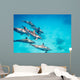 Pod Spinner Dolphins Stenella Wall Decal