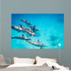 Pod Spinner Dolphins Stenella Wall Decal