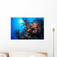 Grouper Watches Warily Reef Wall Decal
