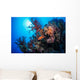 Grouper Watches Warily Reef Wall Decal