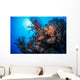 Grouper Watches Warily Reef Wall Decal