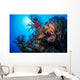 Grouper Watches Warily Reef Wall Decal