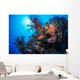 Grouper Watches Warily Reef Wall Decal