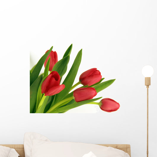 Red tulips Wall Decal