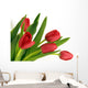 Red tulips Wall Decal