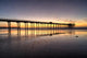Scripps Pier Wall Decal