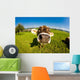 cow, funny fisheye nose close up Wall Mural