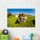 cow, funny fisheye nose close up Wall Mural