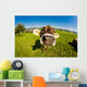 cow, funny fisheye nose close up Wall Mural
