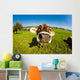 cow, funny fisheye nose close up Wall Mural