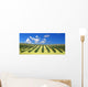 Olive Trees Field Wall Decal